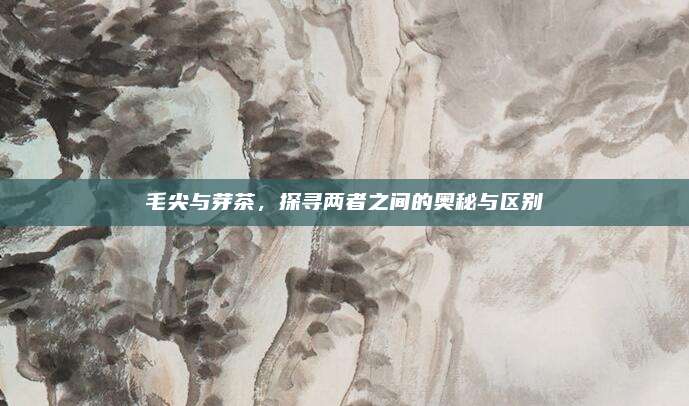 毛尖与芽茶，探寻两者之间的奥秘与区别