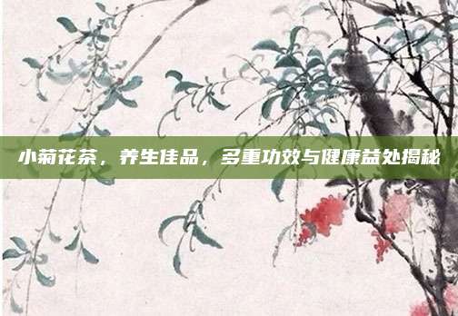 小菊花茶，养生佳品，多重功效与健康益处揭秘