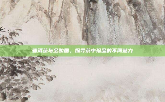 普洱茶与金骏眉，探寻茶中珍品的不同魅力