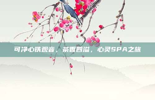 可净心铁观音，茶香四溢，心灵SPA之旅
