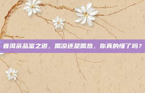 普洱茶品鉴之道,喝凉还是喝热,你真的懂了吗?