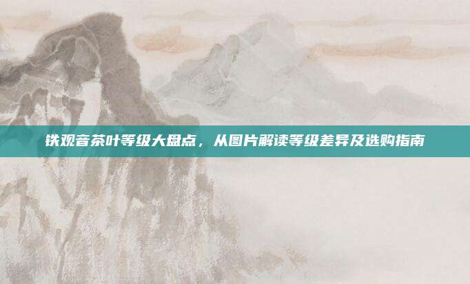 铁观音茶叶等级大盘点，从图片解读等级差异及选购指南