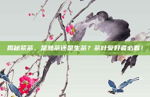 揭秘紧茶，是熟茶还是生茶？茶叶爱好者必看！