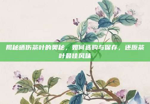 揭秘晒伤茶叶的奥秘，如何选购与保存，还原茶叶最佳风味