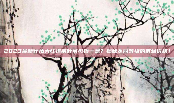 2023最新行情大红袍茶叶多少钱一盒？揭秘不同等级的市场价格！
