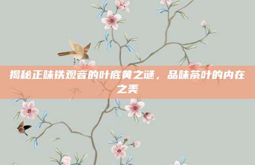 揭秘正味铁观音的叶底黄之谜，品味茶叶的内在之美