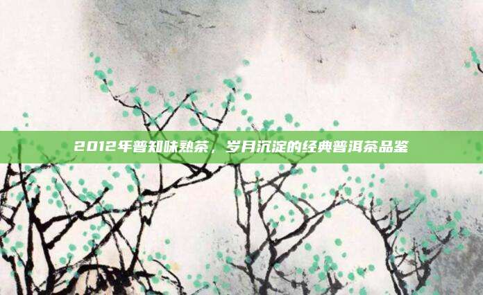 2012年普知味熟茶，岁月沉淀的经典普洱茶品鉴