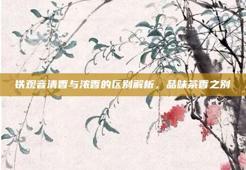 铁观音清香与浓香的区别解析，品味茶香之别