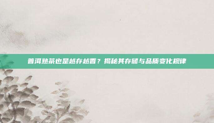 普洱熟茶也是越存越香？揭秘其存储与品质变化规律