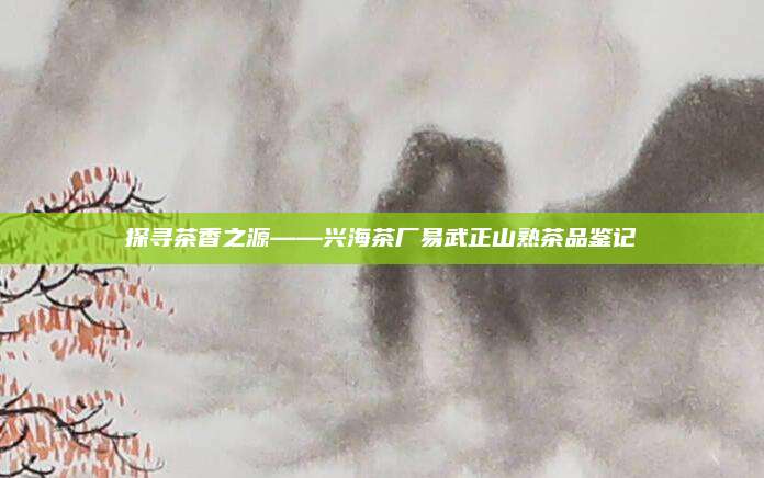 探寻茶香之源——兴海茶厂易武正山熟茶品鉴记