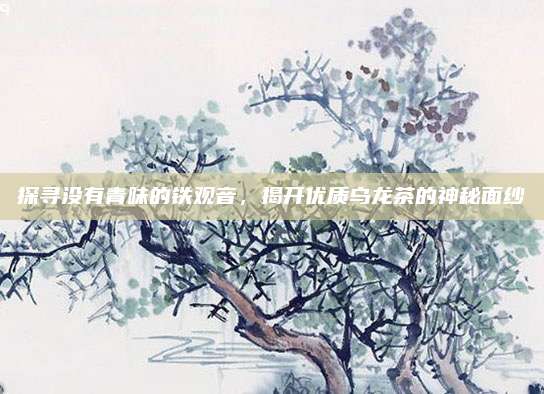 探寻没有青味的铁观音,揭开优质乌龙茶的神秘面纱