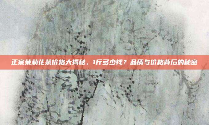 正宗茉莉花茶价格大揭秘,1斤多少钱?品质与价格背后的秘密