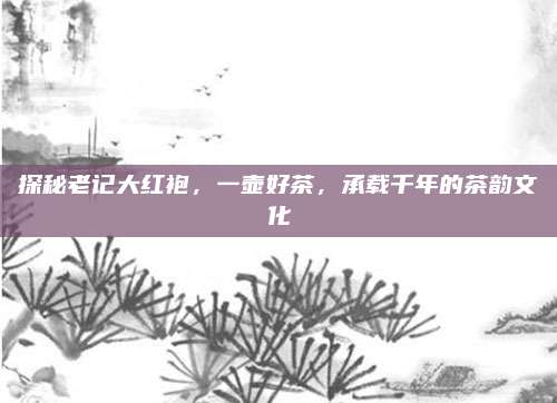 探秘老记大红袍，一壶好茶，承载千年的茶韵文化