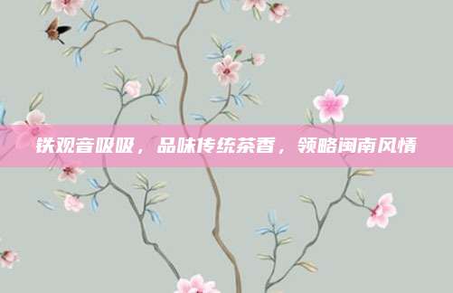 铁观音吸吸,品味传统茶香,领略闽南风情