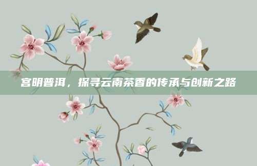 宫明普洱，探寻云南茶香的传承与创新之路