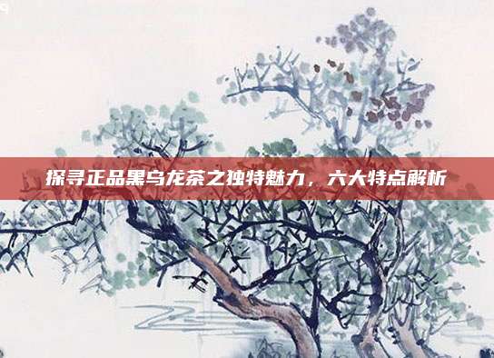 探寻正品黑乌龙茶之独特魅力，六大特点解析