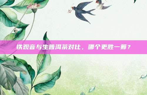 铁观音与生普洱茶对比，哪个更胜一筹？