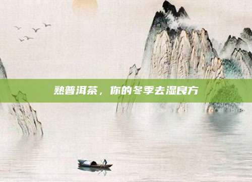 熟普洱茶，你的冬季去湿良方