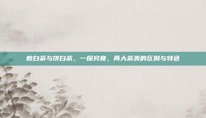 散白茶与饼白茶，一探究竟，两大茶类的区别与特色
