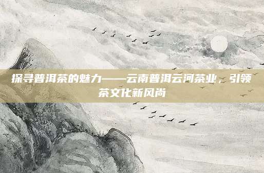 探寻普洱茶的魅力——云南普洱云河茶业，引领茶文化新风尚