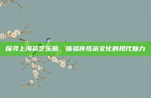 探寻上海茶艺乐园，体验传统茶文化的现代魅力