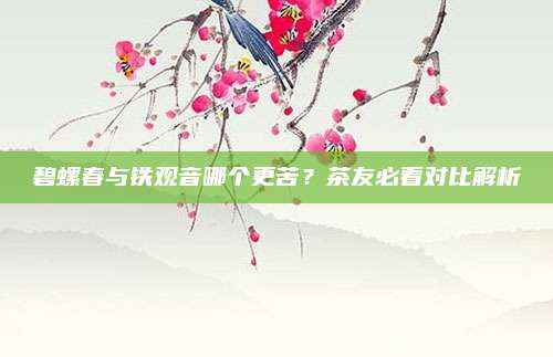 碧螺春与铁观音哪个更苦?茶友必看对比解析