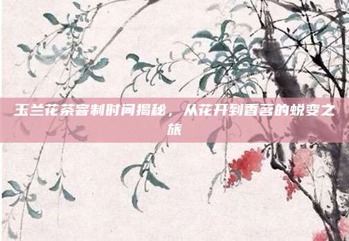 玉兰花茶窨制时间揭秘,从花开到香茗的蜕变之旅