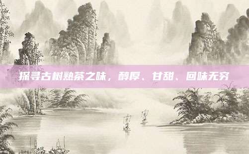 探寻古树熟茶之味,醇厚、甘甜、回味无穷