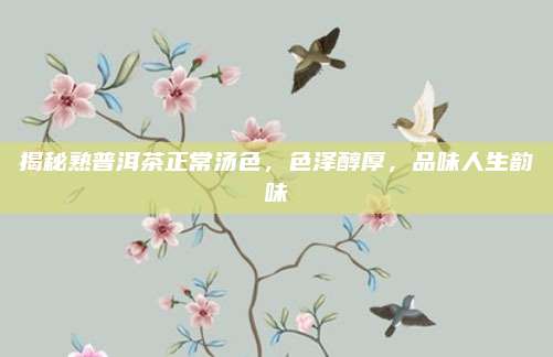 揭秘熟普洱茶正常汤色,色泽醇厚,品味人生韵味
