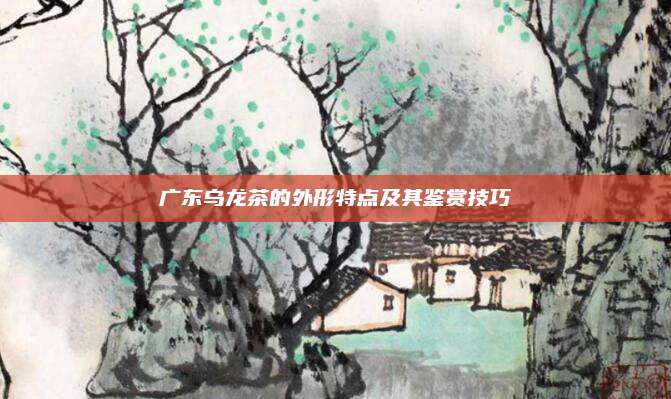 广东乌龙茶的外形特点及其鉴赏技巧