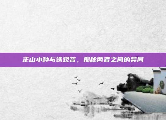 正山小种与铁观音,揭秘两者之间的异同