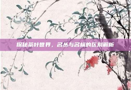 探秘茶叶世界，名丛与名枞的区别解析