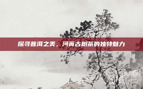 探寻普洱之美，河菁古树茶的独特魅力