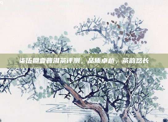 柒伍捌壹普洱茶评测,品质卓越,茶韵悠长