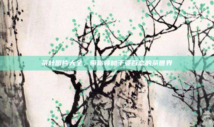 茶叶图片大全，带你领略千姿百态的茶世界