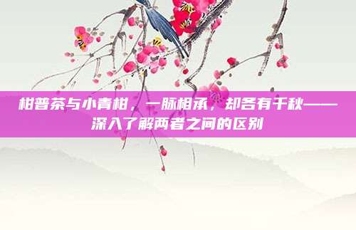 柑普茶与小青柑，一脉相承，却各有千秋——深入了解两者之间的区别