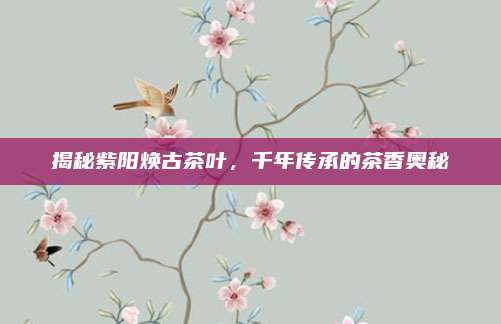 揭秘紫阳焕古茶叶,千年传承的茶香奥秘