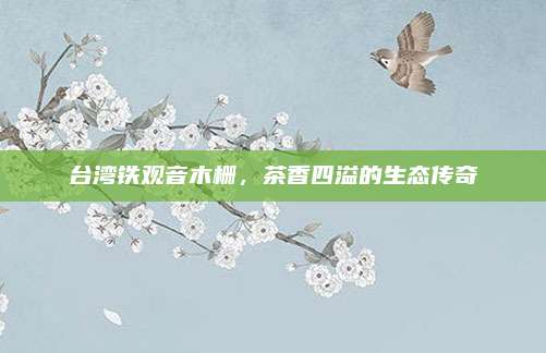 台湾铁观音木栅，茶香四溢的生态传奇