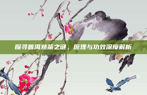 探寻普洱熟茶之谜,原理与功效深度解析