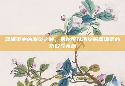 普洱茶中的消炎之谜，揭秘可以消炎吗普洱茶的功效与真相