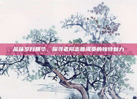 品味岁月精华，探寻老同志普洱贡的独特魅力