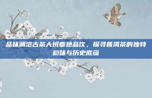 品味澜沧古茶大班章熟品饮,探寻普洱茶的独特韵味与历史底蕴