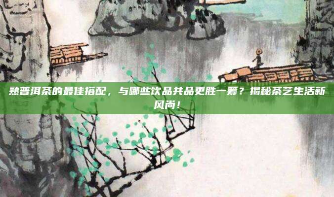 熟普洱茶的最佳搭配,与哪些饮品共品更胜一筹?揭秘茶艺生活新风尚!