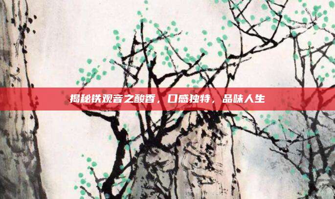 揭秘铁观音之酸香，口感独特，品味人生