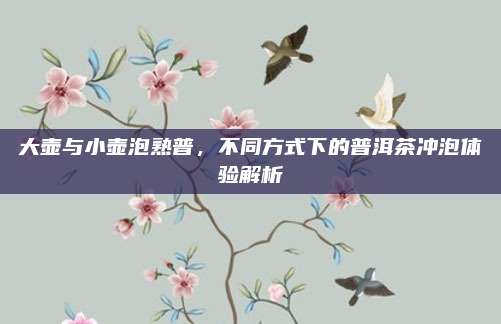 大壶与小壶泡熟普，不同方式下的普洱茶冲泡体验解析