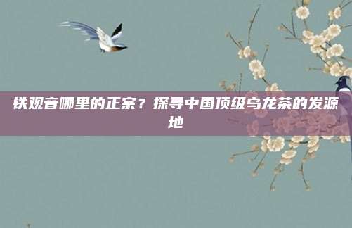 铁观音哪里的正宗?探寻中国顶级乌龙茶的发源地