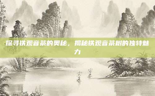 探寻铁观音茶的奥秘,揭秘铁观音茶树的独特魅力