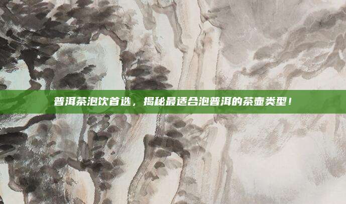 普洱茶泡饮首选,揭秘最适合泡普洱的茶壶类型!