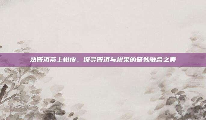 熟普洱茶上柑皮,探寻普洱与柑果的奇妙融合之美