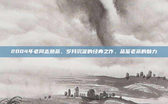 2004年老同志熟茶，岁月沉淀的经典之作，品鉴老茶的魅力